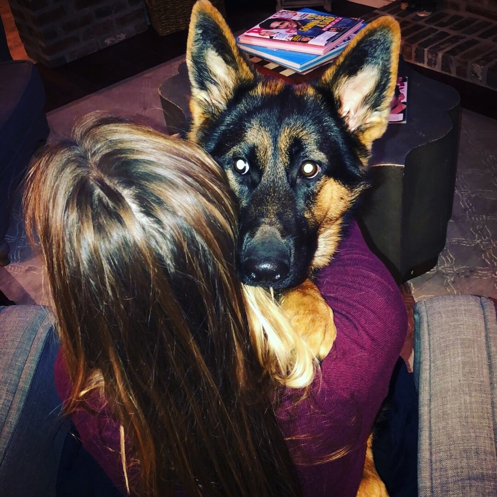 Meet your Posher, Tessa